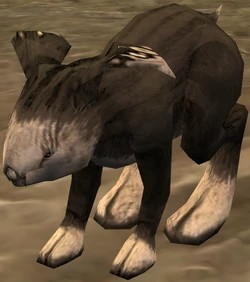 Virvur.png