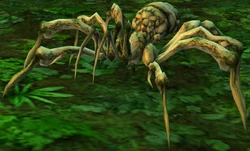 Arachne.png