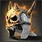 Shadowknight