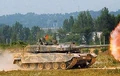 Toro tank.jpg