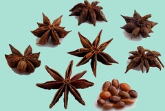 StarAnise