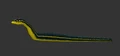 Snake yellowstripe.jpg