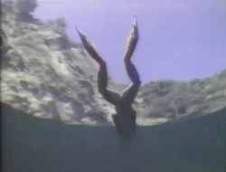 Song.FrogKick