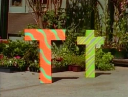 T, You're Teriffic