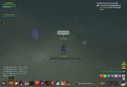 EQ2 000215.jpg