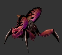 Silithid reaver pink