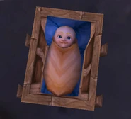 Humanbaby