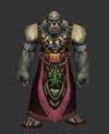 Scarshield Spellbinder