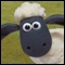 Shaun the Sheep Icon