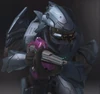 SpecShn'co.jpg