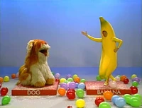 DogBanana