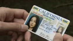 Sun driver license