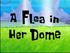 A Flea in Her Dome.PNG