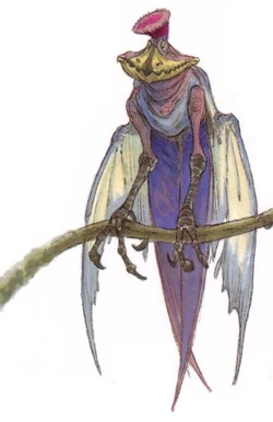 Jubba-Vogel.jpg