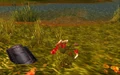 A half-eaten body.jpg