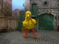 BigBird.Fast.jpg