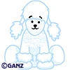 Poodle 002.jpg
