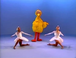 3birds