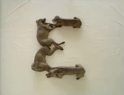 Wegmandogs.E