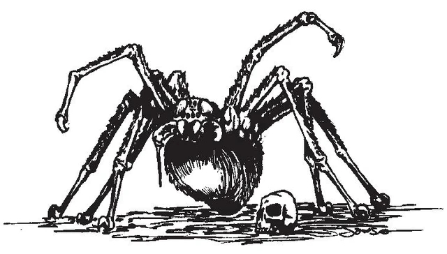 File:SpiderW1.JPG
