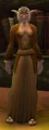 Shen'dralar Zealot.jpg
