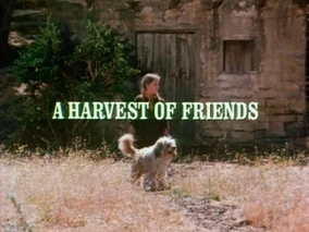 Title.harvestoffriends