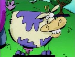 Wheredoesthecowlive