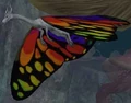 Race fae drake.jpg