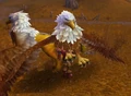 EnragedGryphon.jpg