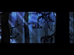 Shadowlands