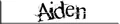 Aiden Logo.jpg