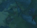 STV highelven shipwreck.jpg