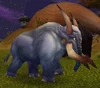 Wild Elekk-closeup