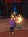 Shadow Pillager