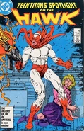 Teen Titans Spotlight 7