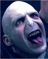 Voldemortprofile.jpg