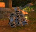 Zul'Mamwe Trophy Skulls.jpg