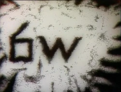 SandW-2