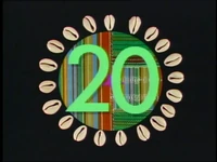 20shells.jpg