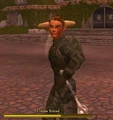 Brasse's Dwarven Battle Bread (Visible).jpg