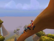 Toadem2.jpg