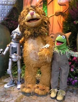 Ozflowershow23