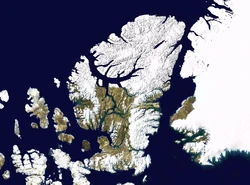 Wfm ellesmere island