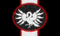 Bdcflag-450