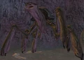 Ageaughu.png