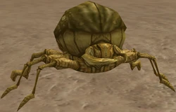 Rockmite.png