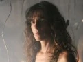Portal-Danielle