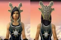 Battlecast Hood.PNG