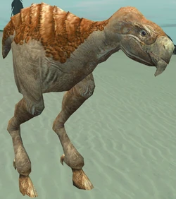 Mawgax