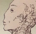 Daedalus